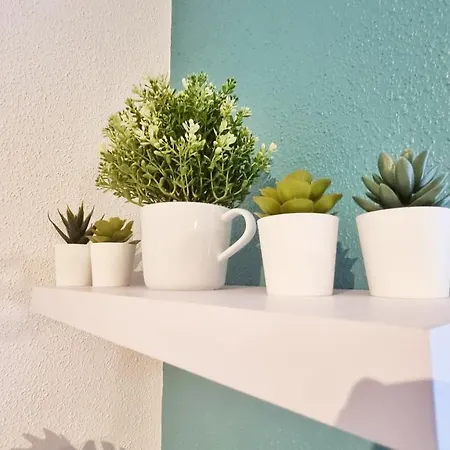 Apartment La Plume De Jais - Famille Ou Travail- Fibre - Confortable Soultz-Haut-Rhin