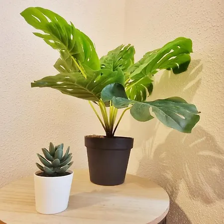 Apartment La Plume De Jais - Famille Ou Travail- Fibre - Confortable *